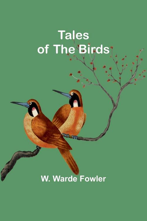 Produktbild: Tales of the birds