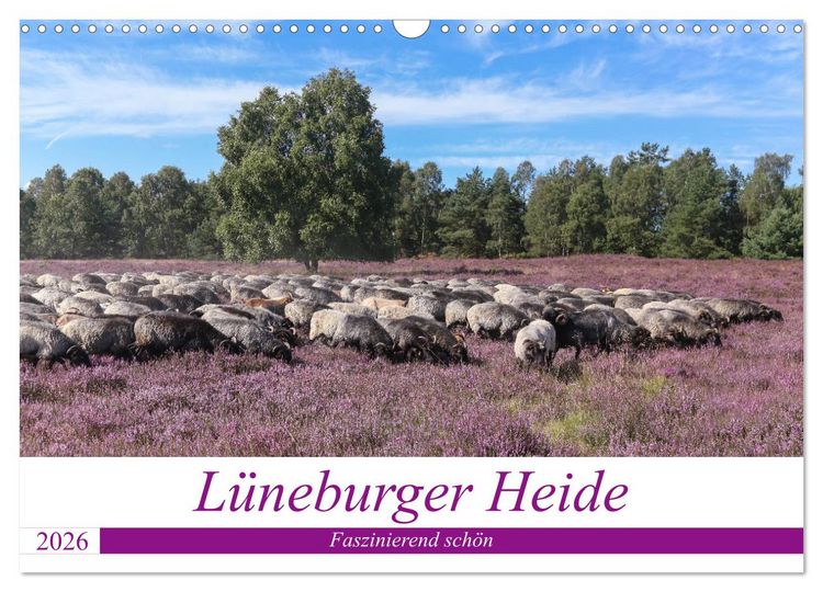 Produktbild: L&uuml;neburger Heide - Faszinierend sch&ouml;n (Wandkalender 2026 DIN A3 quer), CALVENDO Monatskalender