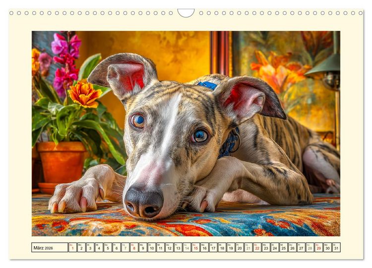 Produktbild: Whippet Wunder. Grazile Hunde mit sanfter Kraft und feiner Seele (Wandkalender 2026 DIN A3 quer), CALVENDO Monatskalender