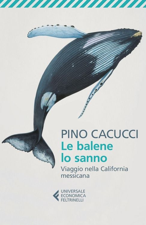 Produktbild: Le balene lo sanno. Viaggio nella California messicana