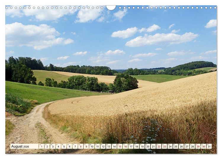 Produktbild: Viele Wege - ein Ziel Wandern im Odenwald (Wandkalender 2026 DIN A3 quer), CALVENDO Monatskalender