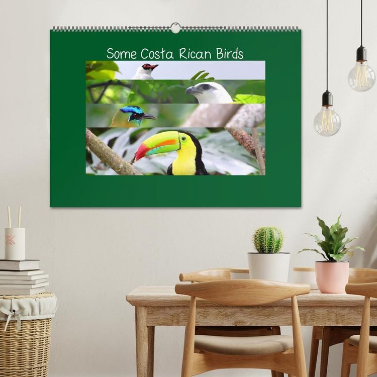 Produktbild: Some Costa Rican Birds (Wall Calendar 2026 DIN A2 landscape), CALVENDO 12 Month Wall Calendar