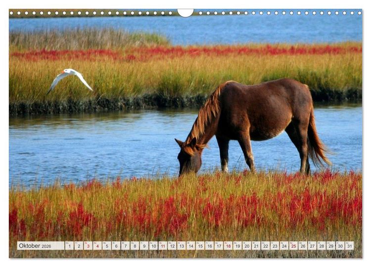 Produktbild: Masuren - Polens Seen-Paradies (Wandkalender 2026 DIN A3 quer), CALVENDO Monatskalender