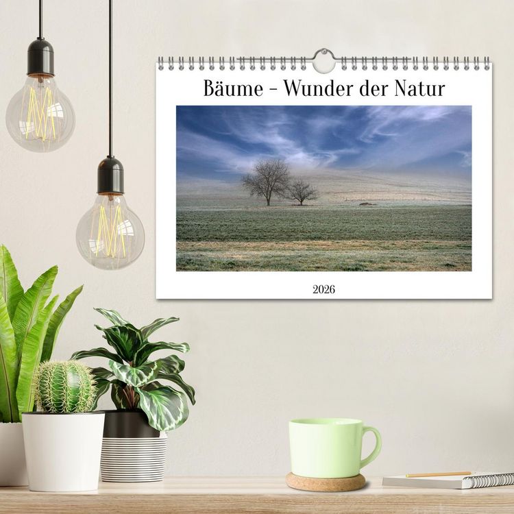 Produktbild: B&auml;ume - Wunder der Natur (Wandkalender 2026 DIN A4 quer), CALVENDO Monatskalender