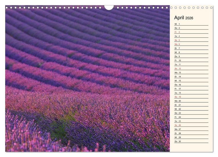 Produktbild: Lavendel (Wandkalender 2026 DIN A3 quer), CALVENDO Monatskalender