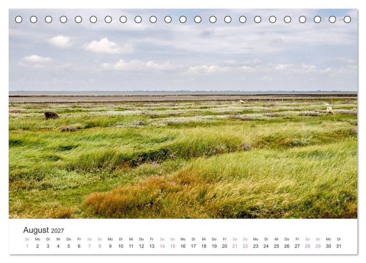 Produktbild: Hamburger Hallig - Der Weg ist das Ziel (Tischkalender 2027 DIN A5 quer), CALVENDO Monatskalender