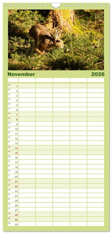 Produktbild: Familienplaner 2026 - Feldhasen unterwegs in Wald und Flur mit 5 Spalten (Wandkalender, 21 x 45 cm) CALVENDO