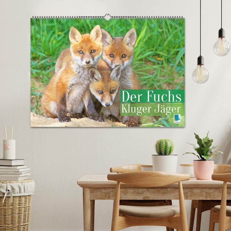 Produktbild: Der Fuchs: Kluger J&auml;ger (Wandkalender 2026 DIN A2 quer), CALVENDO Monatskalender