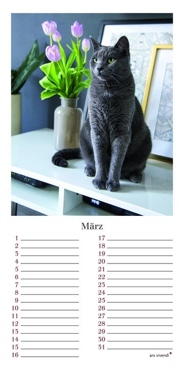 Produktbild: Geburtstagskalender Katzen