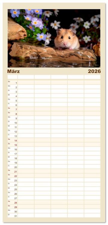 Produktbild: Familienplaner 2026 - Wild und flauschig - Hamster - Abenteuer in freier Natur mit 5 Spalten (Wandkalender, 21 x 45 cm) CALVENDO