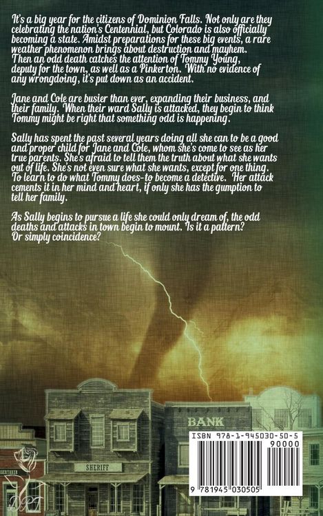 Produktbild: Dust Raiser (The Dominion Falls Series Book 7)