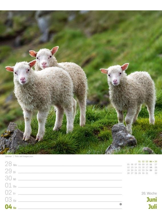 Produktbild: Island Wochenplaner Kalender 2027 | Die Insel aus Feuer und Eis
