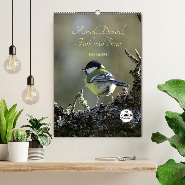 Produktbild: Amsel, Drossel, Fink und Star - beobachtet (Wandkalender 2026 DIN A2 hoch), CALVENDO Monatskalender
