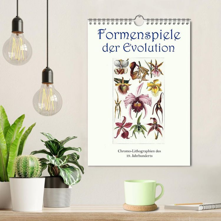 Produktbild: Formenspiele der Evolution. Chromolithographien des 19. Jahrhunderts (Wandkalender 2026 DIN A4 hoch), CALVENDO Monatskalender