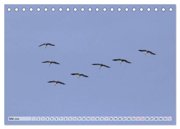 Produktbild: Kraniche auf dem Weg nach S&uuml;den (Tischkalender 2026 DIN A5 quer), CALVENDO Monatskalender