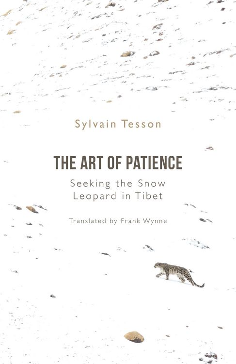 Produktbild: The Art of Patience