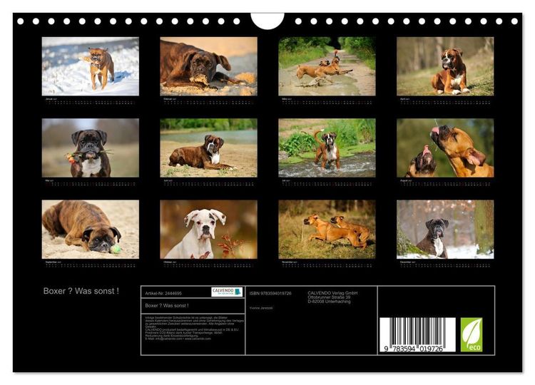 Produktbild: Boxer ? Was sonst ! (Wandkalender 2027 DIN A4 quer), CALVENDO Monatskalender