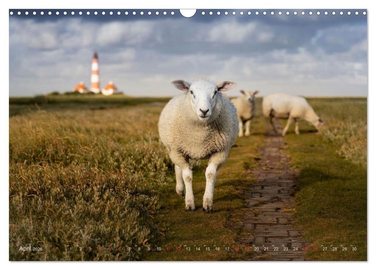 Produktbild: Wundersch&ouml;nes Eiderstedt (Wandkalender 2026 DIN A3 quer), CALVENDO Monatskalender