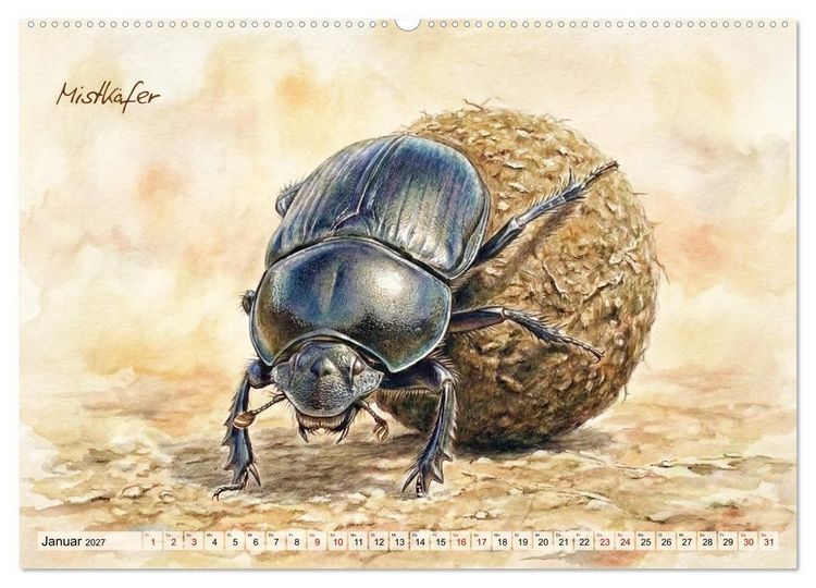 Produktbild: Kleine Wunder in Aquarell - Heimische Insekten kunstvoll illustriert (hochwertiger Premium Wandkalender 2027 DIN A2 quer), Kunstdruck in Hochglanz