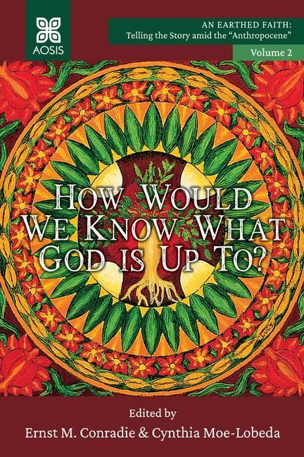 Produktbild: How Would we Know what God is up to?