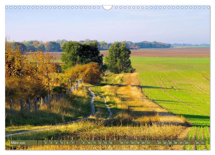 Produktbild: Kap Arkona und das alte Fischerdorf Vitt (Wandkalender 2026 DIN A3 quer), CALVENDO Monatskalender