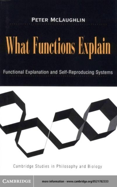 Produktbild: What Functions Explain