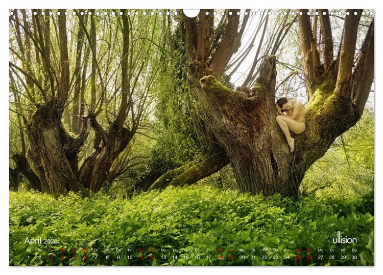 Produktbild: Poesie der Stille &ndash; Akt in der Natur (Wandkalender 2026 DIN A3 quer), CALVENDO Monatskalender