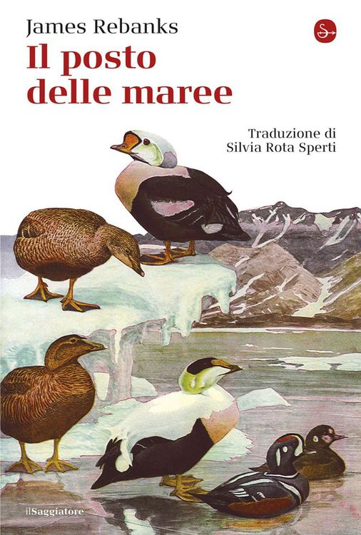 Produktbild: Il posto delle maree