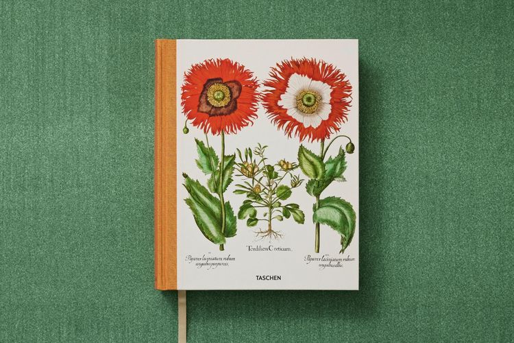 Produktbild: Basilius Besler. The Garden at Eichst&auml;tt