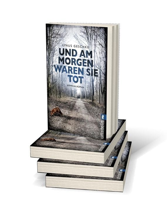 Produktbild: Und am Morgen waren sie tot / Jan Römer Band 2