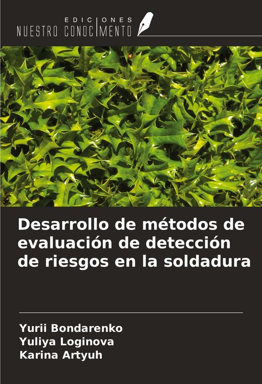 Produktbild: Desarrollo de m&eacute;todos de evaluaci&oacute;n de detecci&oacute;n de riesgos en la soldadura