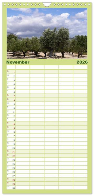 Produktbild: Familienplaner 2026 - Trauminsel Rhodos mit 5 Spalten (Wandkalender, 21 x 45 cm) CALVENDO