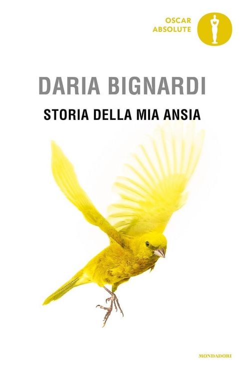 Produktbild: Storia della mia ansia