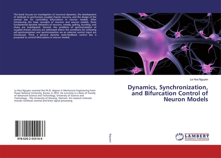 Produktbild: Dynamics, Synchronization, and Bifurcation Control of Neuron Models
