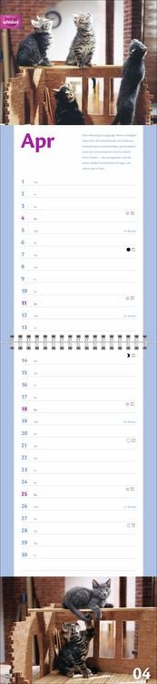 Produktbild: Whiskas Katzenleben Kalender 2027