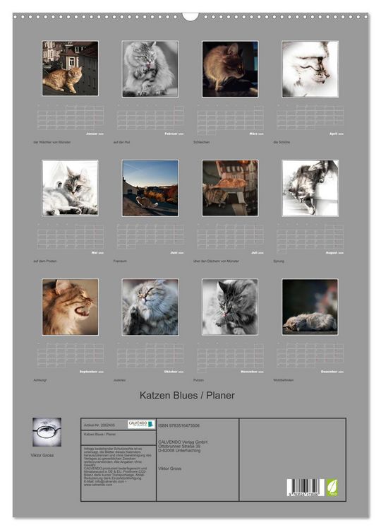 Produktbild: Katzen Blues / Planer (Wandkalender 2026 DIN A2 hoch), CALVENDO Monatskalender