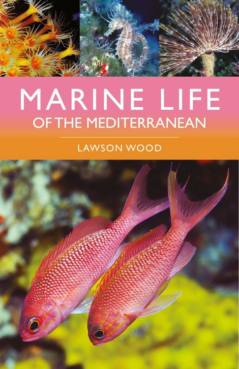 Produktbild: Marine Life of the Mediterranean