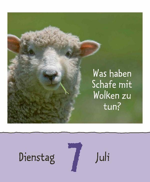 Produktbild: Wie faul ist das Faultier? 2026