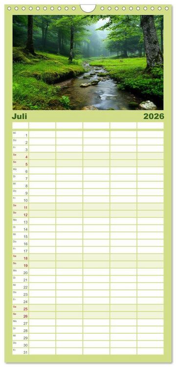 Produktbild: Familienplaner 2026 - Mystik der W&auml;lder mit 5 Spalten (Wandkalender, 21 x 45 cm) CALVENDO