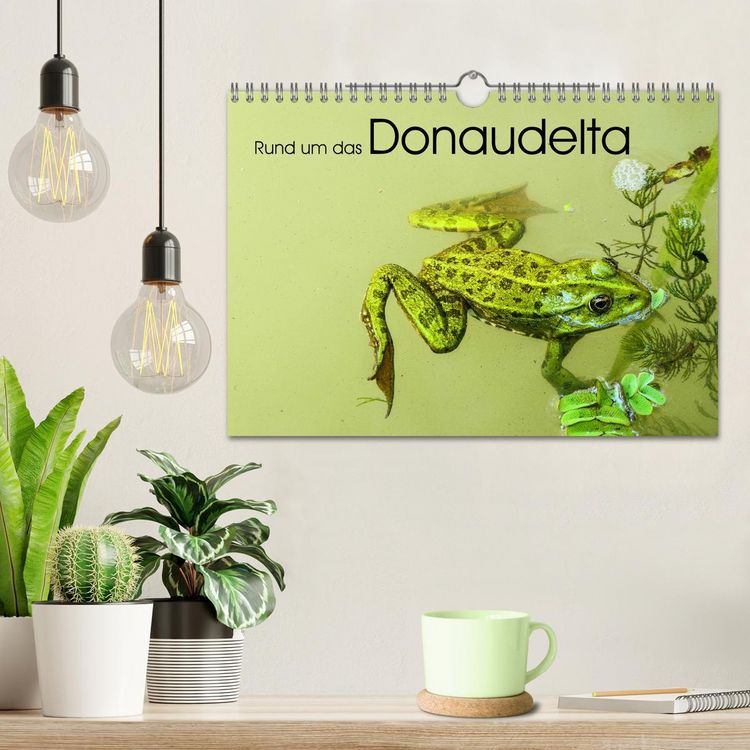 Produktbild: Rund um das Donaudelta (Wandkalender 2026 DIN A4 quer), CALVENDO Monatskalender