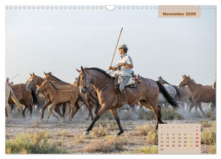 Produktbild: Pferde - Andalusiens wilder Westen (Wandkalender 2026 DIN A3 quer), CALVENDO Monatskalender