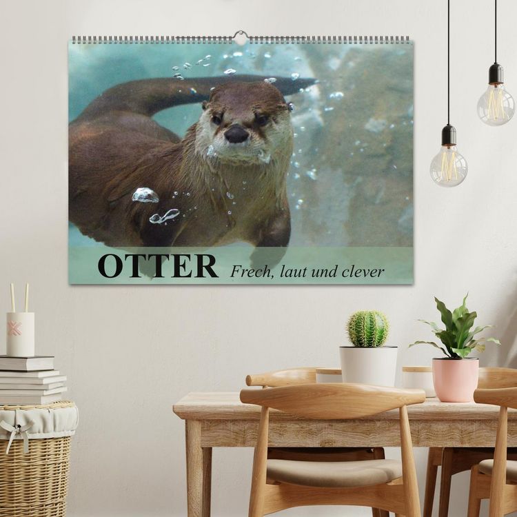 Produktbild: Otter. Frech, laut und clever (Wandkalender 2026 DIN A2 quer), CALVENDO Monatskalender