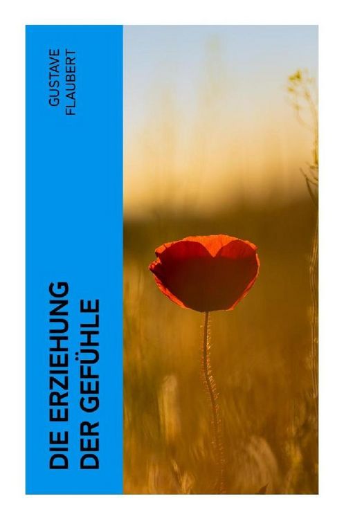 Produktbild: Die Erziehung der Gef&uuml;hle