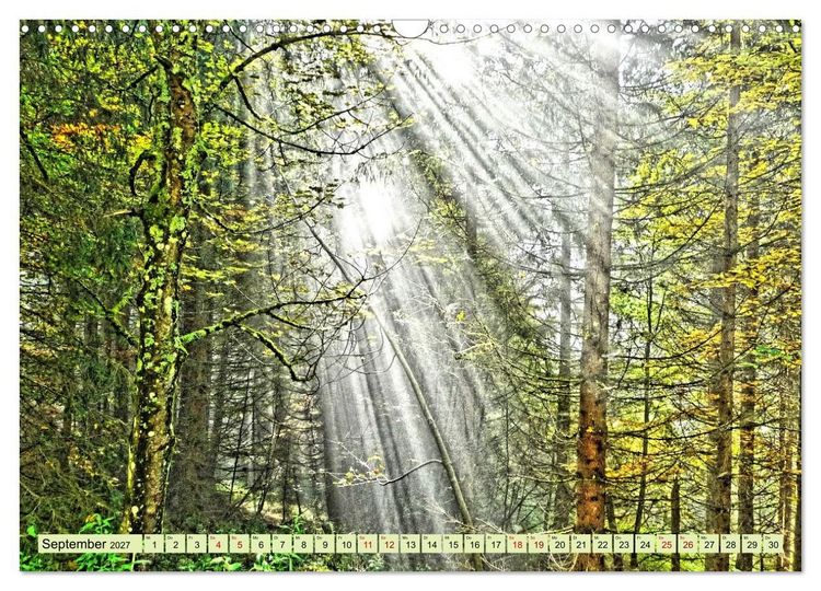 Produktbild: Verwunschene Waldtr&auml;ume: Ein Kalender voller Magie (Wandkalender 2027 DIN A3 quer), CALVENDO Monatskalender