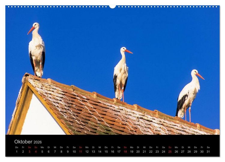 Produktbild: E L S A S S Impressionen (Wandkalender 2026 DIN A2 quer), CALVENDO Monatskalender