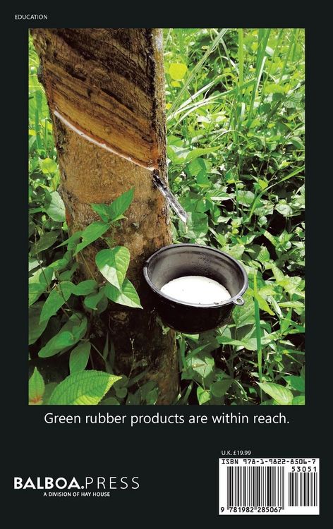 Produktbild: Highly Efficient Methods for Sulfur Vulcanization Techniques, Results and Implications