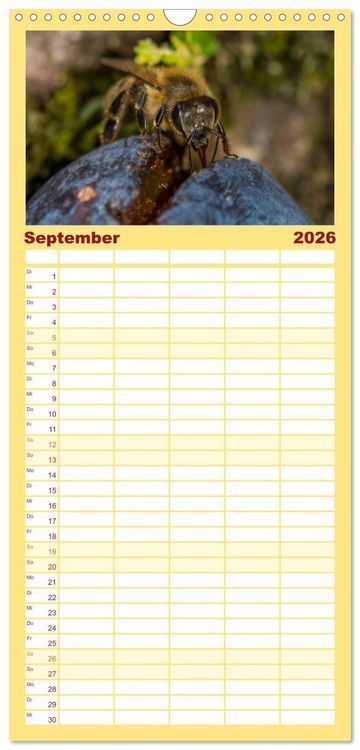 Produktbild: Familienplaner 2026 - Bienenkalender mit 5 Spalten (Wandkalender, 21 x 45 cm) CALVENDO