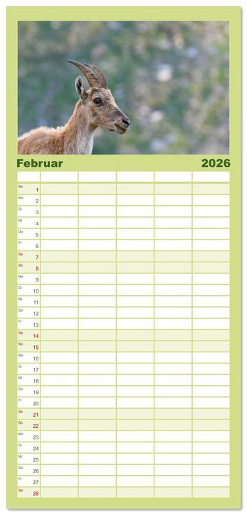 Produktbild: Familienplaner 2026 - Bergk&ouml;nige - Steinb&ouml;cke im Blickpunkt der Naturfotografie mit 5 Spalten (Wandkalender, 21 x 45 cm) CALVENDO