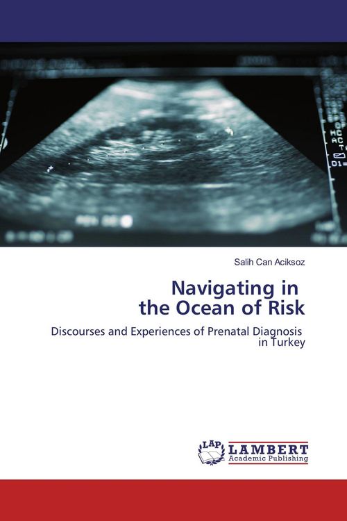 Produktbild: Navigating in the Ocean of Risk