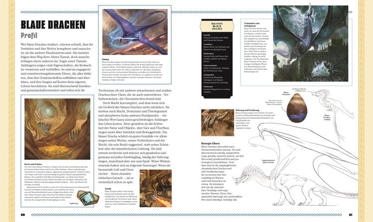 Produktbild: Dungeons & Dragons Das Buch der Drachen